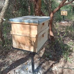 Langstroth Hive