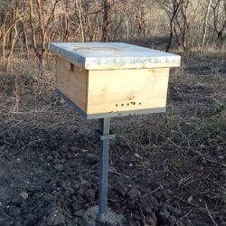 Novala top-bar hive